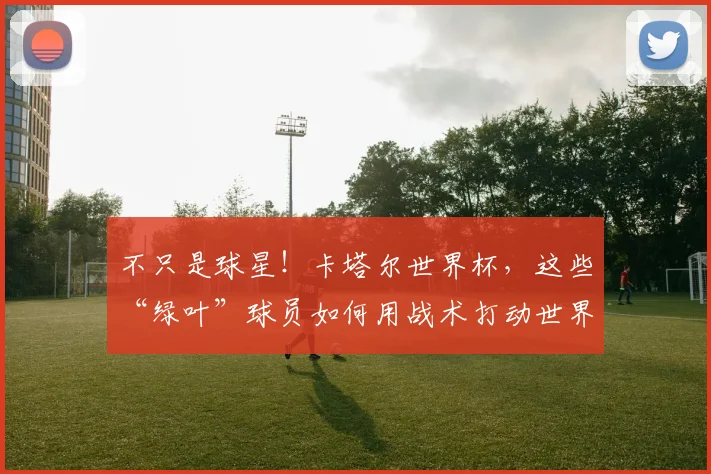 不只是球星！卡塔尔世界杯，这些“绿叶”球员如何用战术打动世界