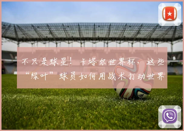 不只是球星!卡塔尔世界杯,这些“绿叶”球员如何用战术打动世界