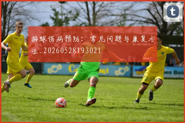 排球伤病预防:常见问题与康复方法_20260528193021